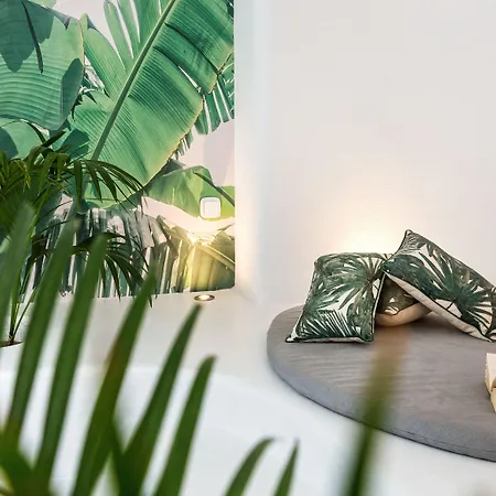 Hotel Lilly Residence-all Sea View Suites, Adults Only Náoussa