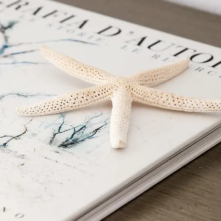 Hotel Lilly Residence-all Sea View Suites, Adults Only Náoussa