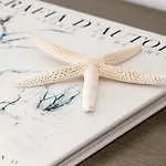 호텔 Lilly Residence-all Sea View Suites, Adults Only 나오우사